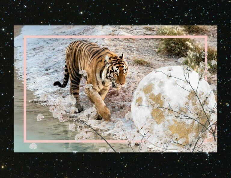 2022 Lunar Year of the Water Tiger