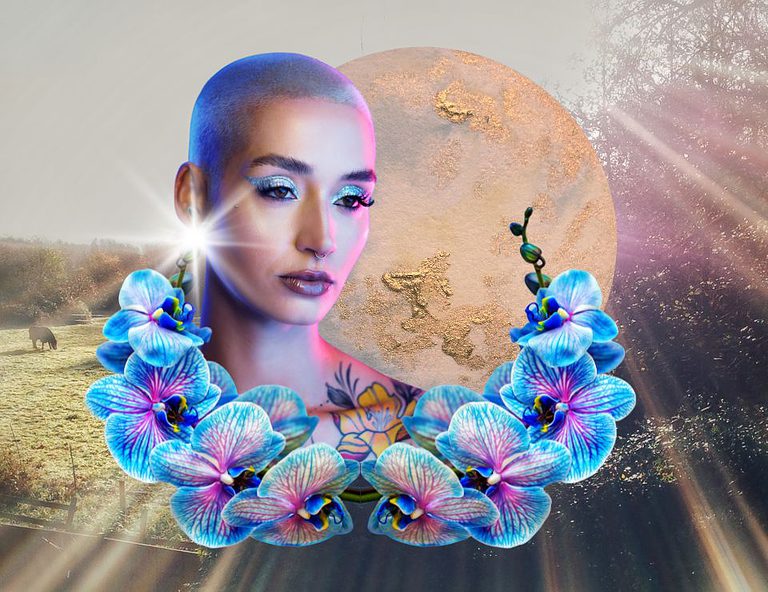 venus in aquarius transit horoscopes and astrology