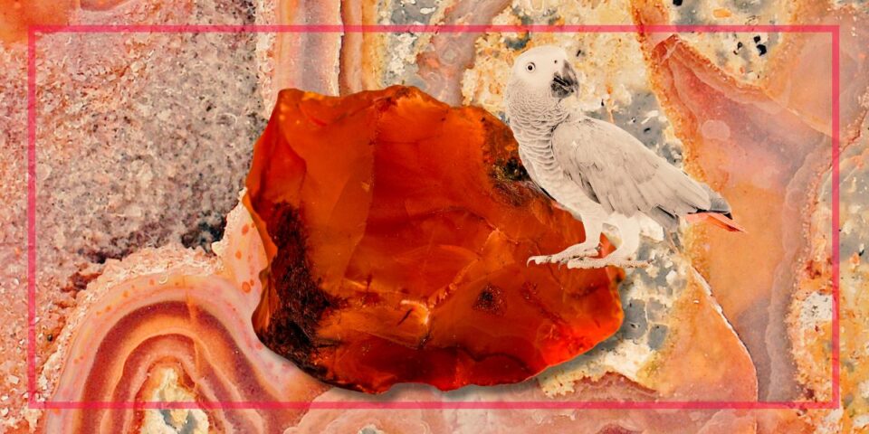 2026 Crystal of the Year & Best Crystals For 2026 New and Full Moons